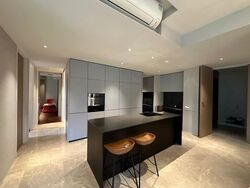 Amber Park (D15), Condominium #558276081